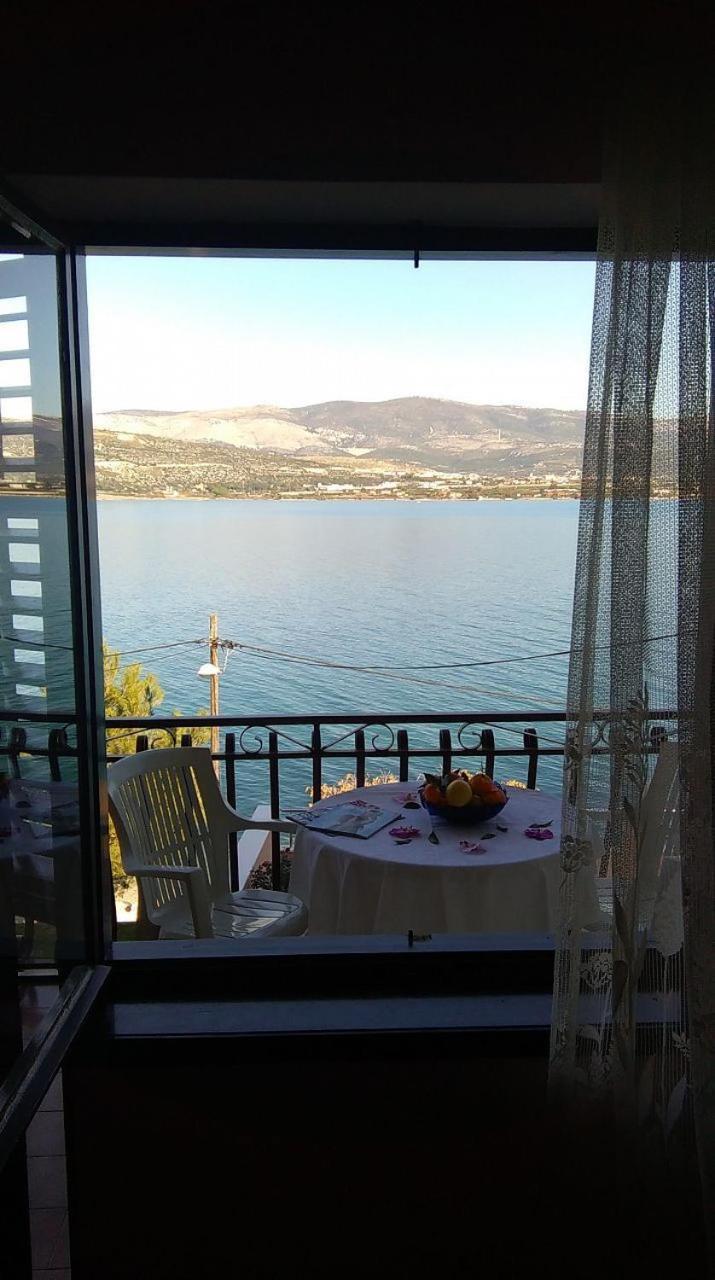Apartments Vini Trogir Exterior photo